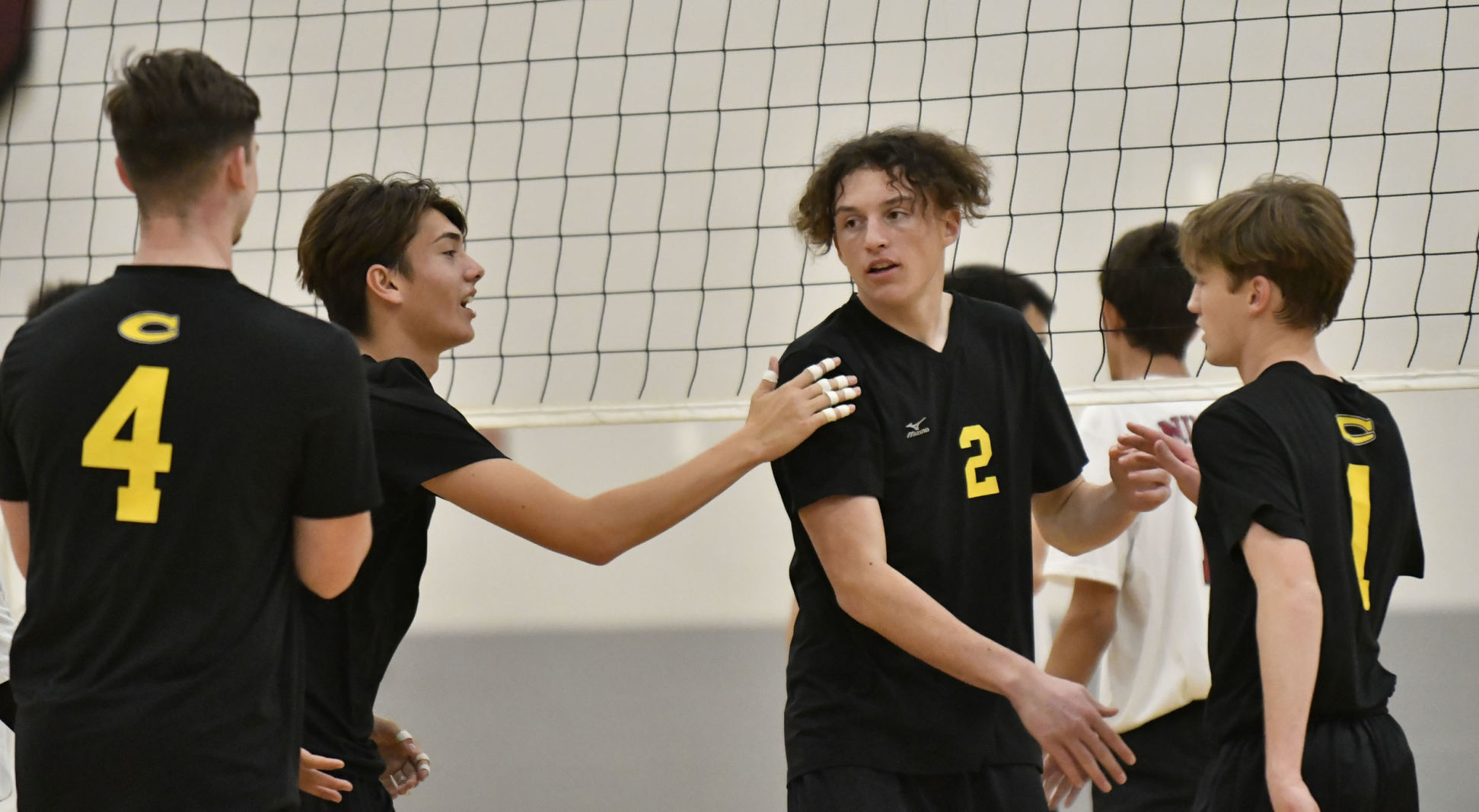 031318 CHS NHS volleyball 08.jpg